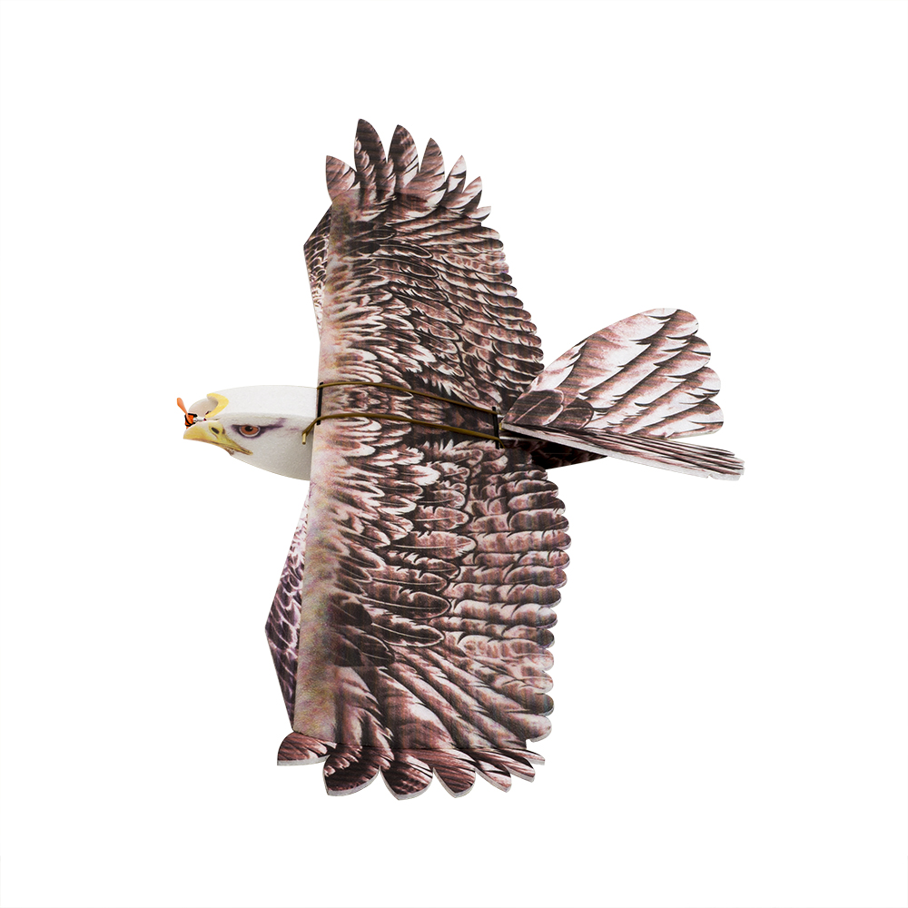 Model Kit Motor - DW Hobby Eagle II EPP Uçak