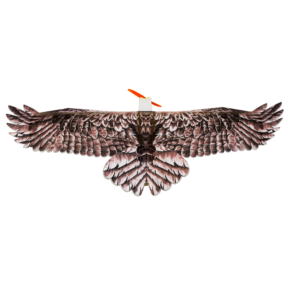 DW Hobby Eagle II EPP Uçak RC  - Model Kit Motor incelemesi ve fiyatı